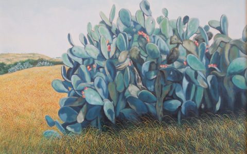 Pasquale-De-Luca-Fichi-d'india-del-sud-1997-olio-su-tela-cm-80X80